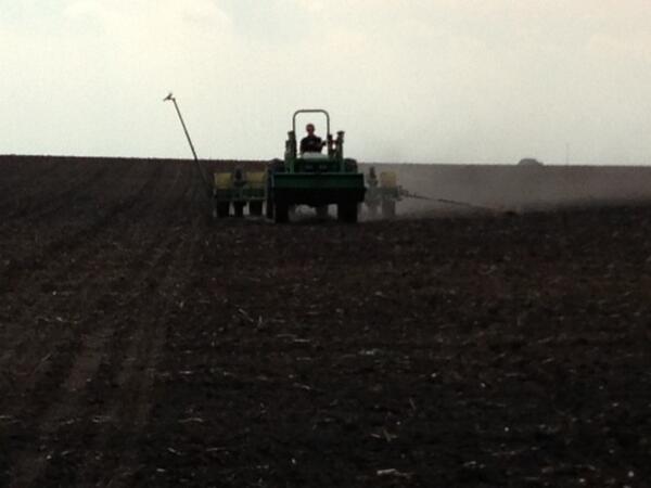 WilsonSeedLLC's tweet image. Planted my @DuPontPioneer soybean plot today! First look at the new T Series lineup! #totalperformance