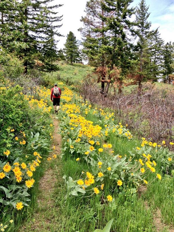 Greg McDonough tweet media