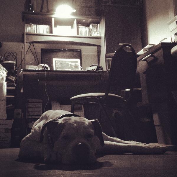 CausesGoViral's tweet photo. Had to re-edit videos. Yet another long night, this guy was with me the entire time. The 1st videos will be up soon. http://t.co/SQ7lPbSjlP