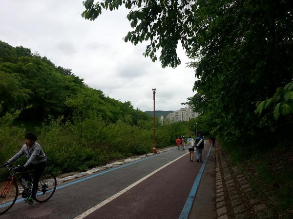 비온뒤의 분당천..너무 싱그럽고 아름답죠?