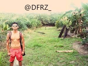 DFR tweet media