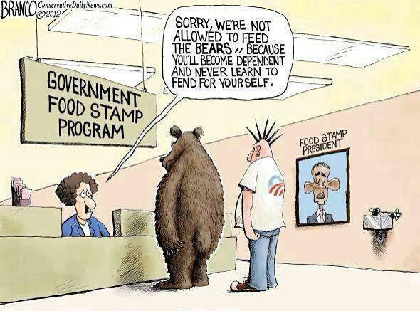 thebighoot's tweet photo. #LiberalBandNames Don't Feed the Bears http://t.co/hq9s20GfHo