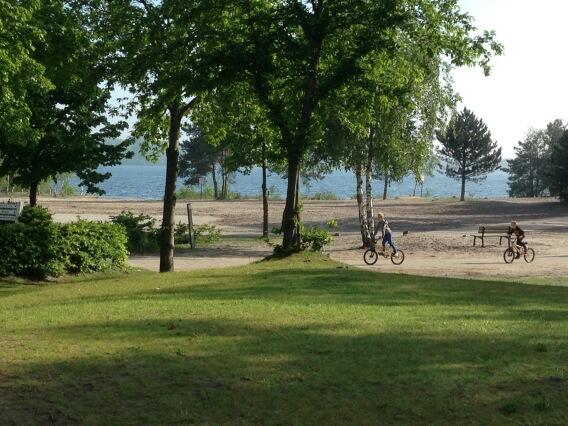 BartEveraert1 tweet picture