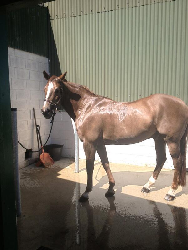 KateRyan91's tweet image. Bath tiiiimmmeee!