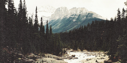 crazyforh0ran's tweet photo. @fxzayn @needyourhug1d http://t.co/pvP5BzU7Sl