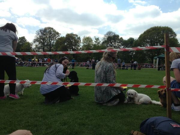 namkitty26's tweet photo. @Nerhead @torimawer entered the best pedigree today at Wollaton with Millie and Genks! http://t.co/6vvM3WtVsx