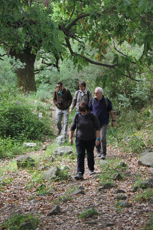 Enrique21122's tweet image. Con la gente de #PROFOR pisando monte