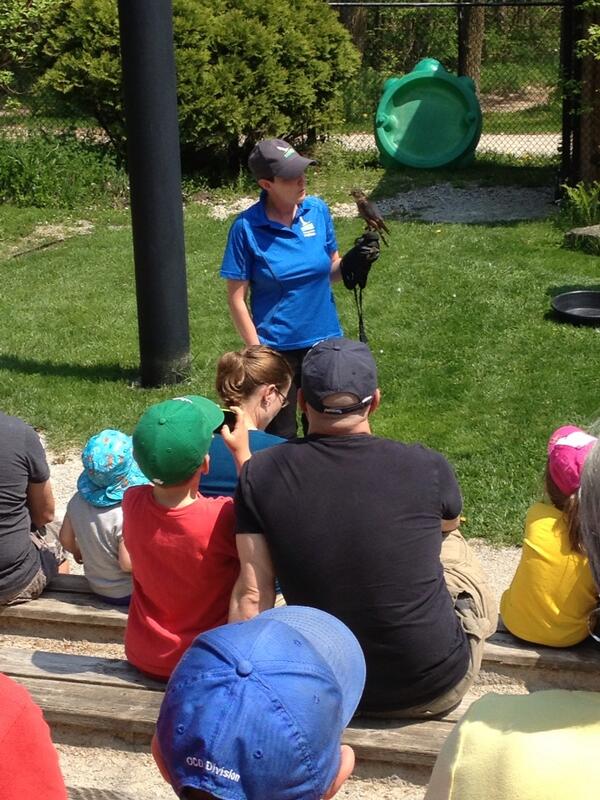 Gorgeous day out in the sun at the Raptor Centre-- come and join us at #Mountsberg this beautiful long weekend!