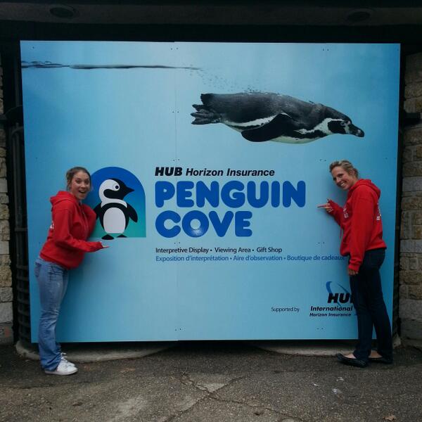 VirginRadioWPG's tweet photo. We're at the @assiniboinezoo and we are SO excited to see the new penguins!! http://t.co/vd68xG0Znd