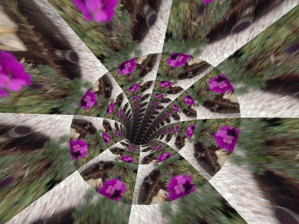 Check out this image I made with <a href="/MegaPhotoBooth/">Mega Photo</a>:gbu
High