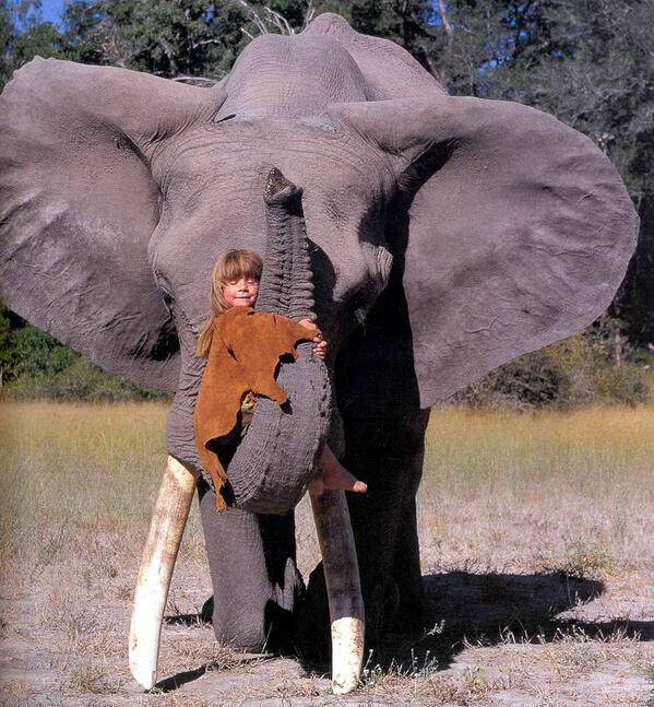 Tippi Degré, la niña que se convirtió en el 'Mowgli' del siglo XX [VÍDEO] antena3.com/noticias/mundo… vía <a href="/antena3com/">Antena 3</a>