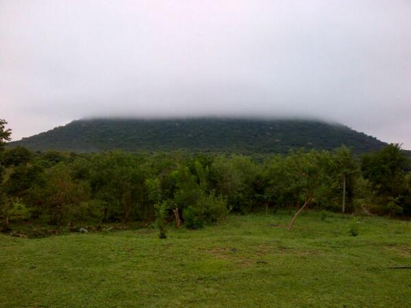 EstacionPri's tweet photo. El paisaje de hoy, día nublado desde el anden de la Estación. Cerro Jhu. Que tengan un buen resto de jornada! http://t.co/YbNod414C9
