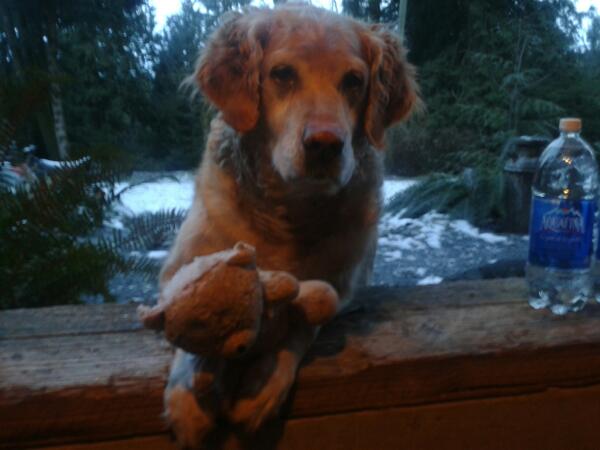 laura mcconville (@laura1111lm) on Twitter photo 