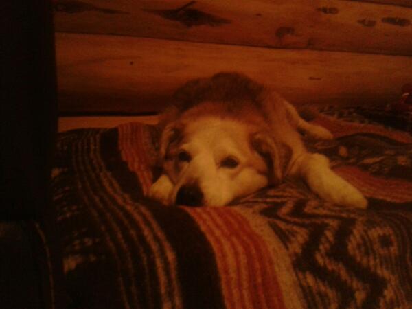 laura mcconville (@laura1111lm) on Twitter photo 