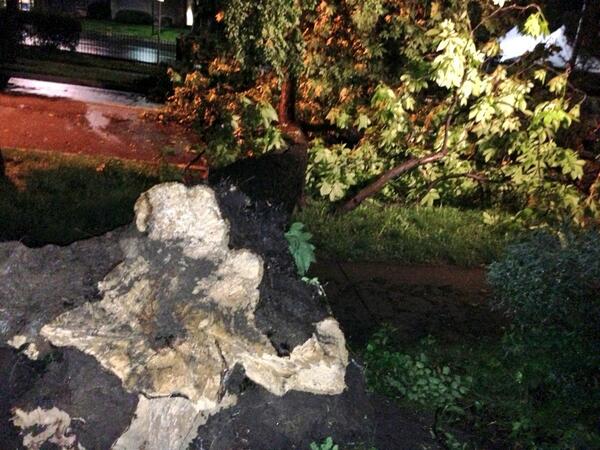 LoTUKH's tweet image. Large tree blocking 4500 Warwick in #KansasCity after late night #MOStorm @41ActionNews