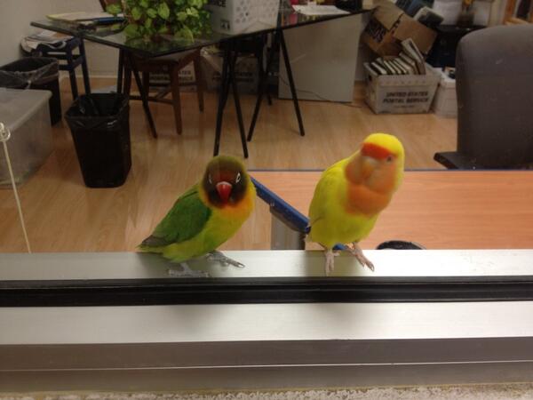 SandyClose's tweet photo. Happy Monday from mr and mrs Bloomberg -- our mascots. http://t.co/Ie7Rr4YF26