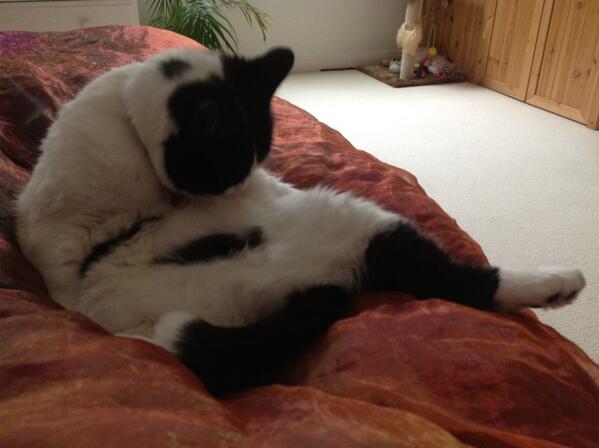 Welcome to my boudoir.......Roxy xx