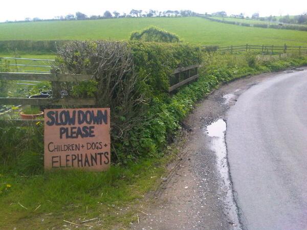 valleluma's tweet image. #HumorIngles