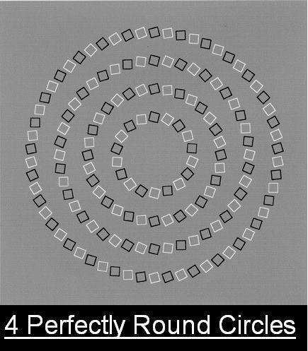 4 perfectly round circles! #illusion #magic