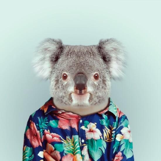 10veryspecial's tweet photo. Awesome. Yago Partal shot pictures of animals dressed up.
Check them out and try not to smile http://t.co/50UFQC74Fw