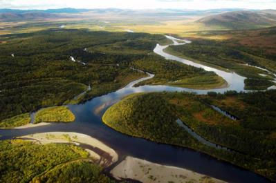 NWGoldDiamond's tweet image. Estate jewelry is environmentally friendly. Re-use and recycle precious metals and gems! zap.am/Pv