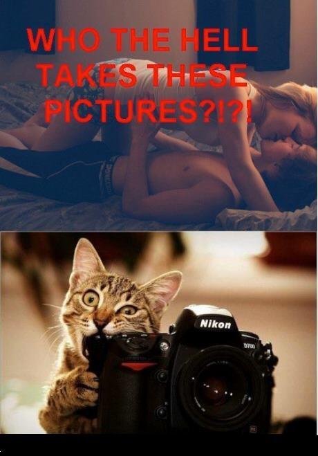 DistractedFools's tweet image. 