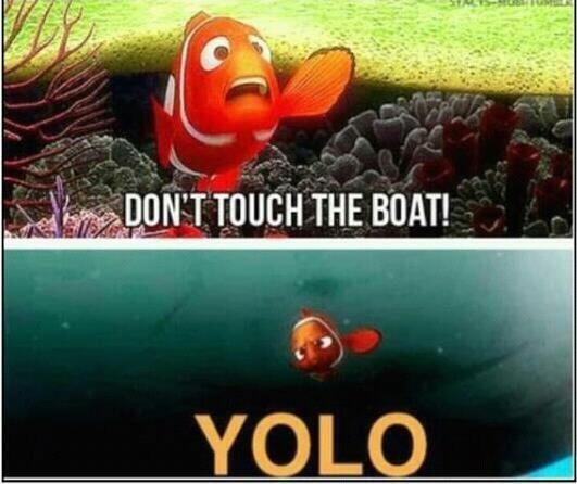 DistractedFools's tweet image. #YOLO