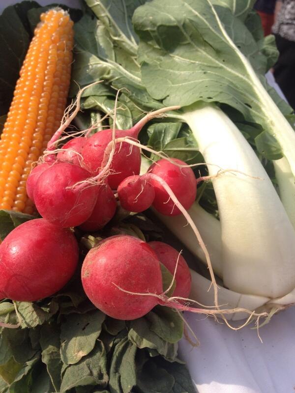 katielorah's tweet photo. City hall farmers market, opening day haul! $5 for popcorn, radishes and bok choy. @bosfood http://t.co/zCIOvXllsl