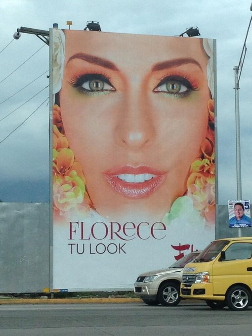Billboards for my new campaign for smashbox #cosmetics for #felix http://t.co/QpvFieeROe