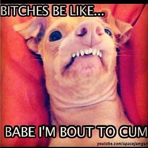17_doin's tweet photo. Ctfu😄 http://t.co/Uz8hdfrztR