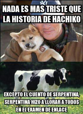 #TodosLloramosCon La historia de serpentina en el examen de enlace! :'(