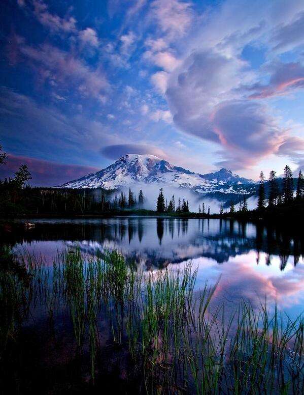 Una hermosa fotografia para meditar de Rainier National Park, Washington State .