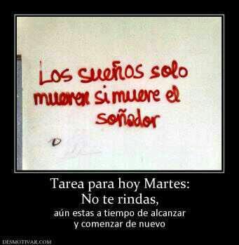 optica_lemos's tweet photo. http://t.co/BVvz31oy95