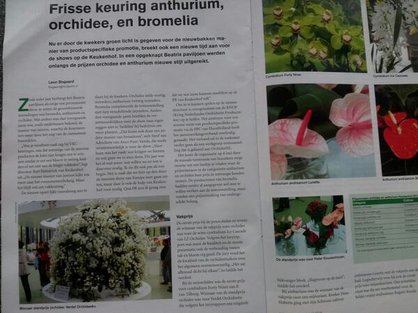 Leuk artikel in het vakblad #bloemisterij. Volgens het juryrapport is ons arrangement de slagroom op de taart!