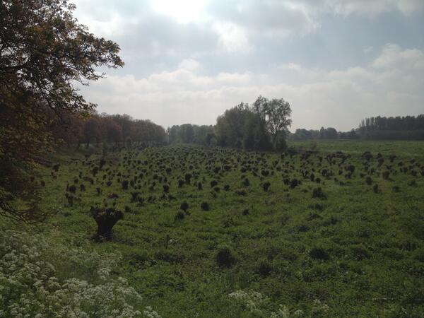 MarcelRuijgers's tweet photo. Even een testje vanuit de app http://t.co/F0pTYD5f2l