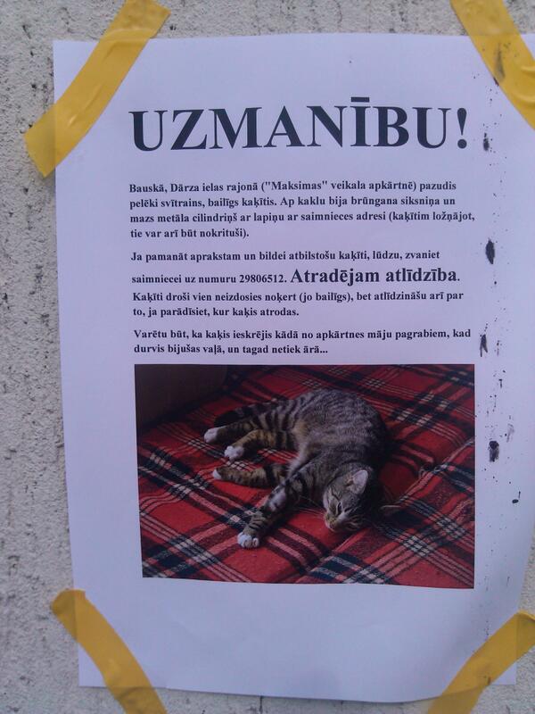 Bauskā pazudis kaķis ! Palīdzam ! #TwitterSpēks