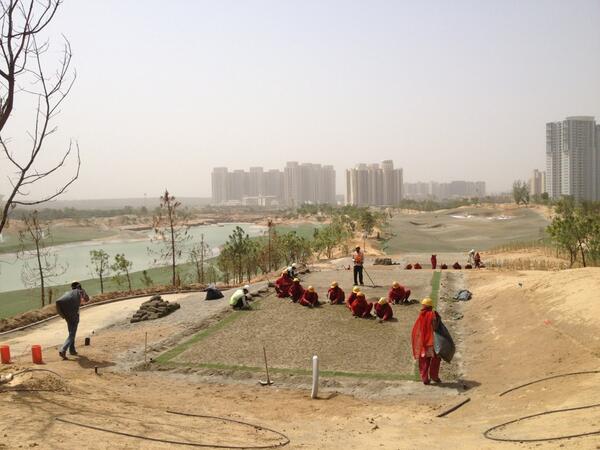 David B Mathews tweet media