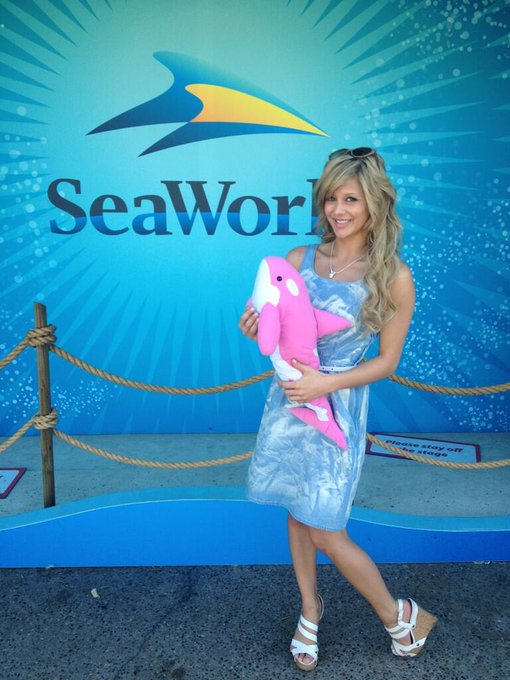 Everything within the ocean is magical <3 #SeaWorld #Ocean #Shamu #Inspired http://t.co/KLEqgLmS2N