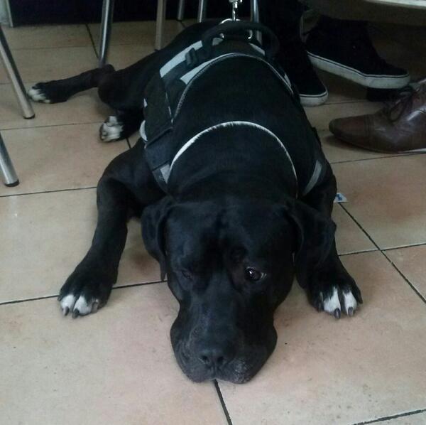 saritatula's tweet photo. Aqui esta el wapisiiimooo de Guero, el bebe de @pascualprincipe @PascualclubFans esta cansado d la fama de su papi... http://t.co/jRcZTp8L74