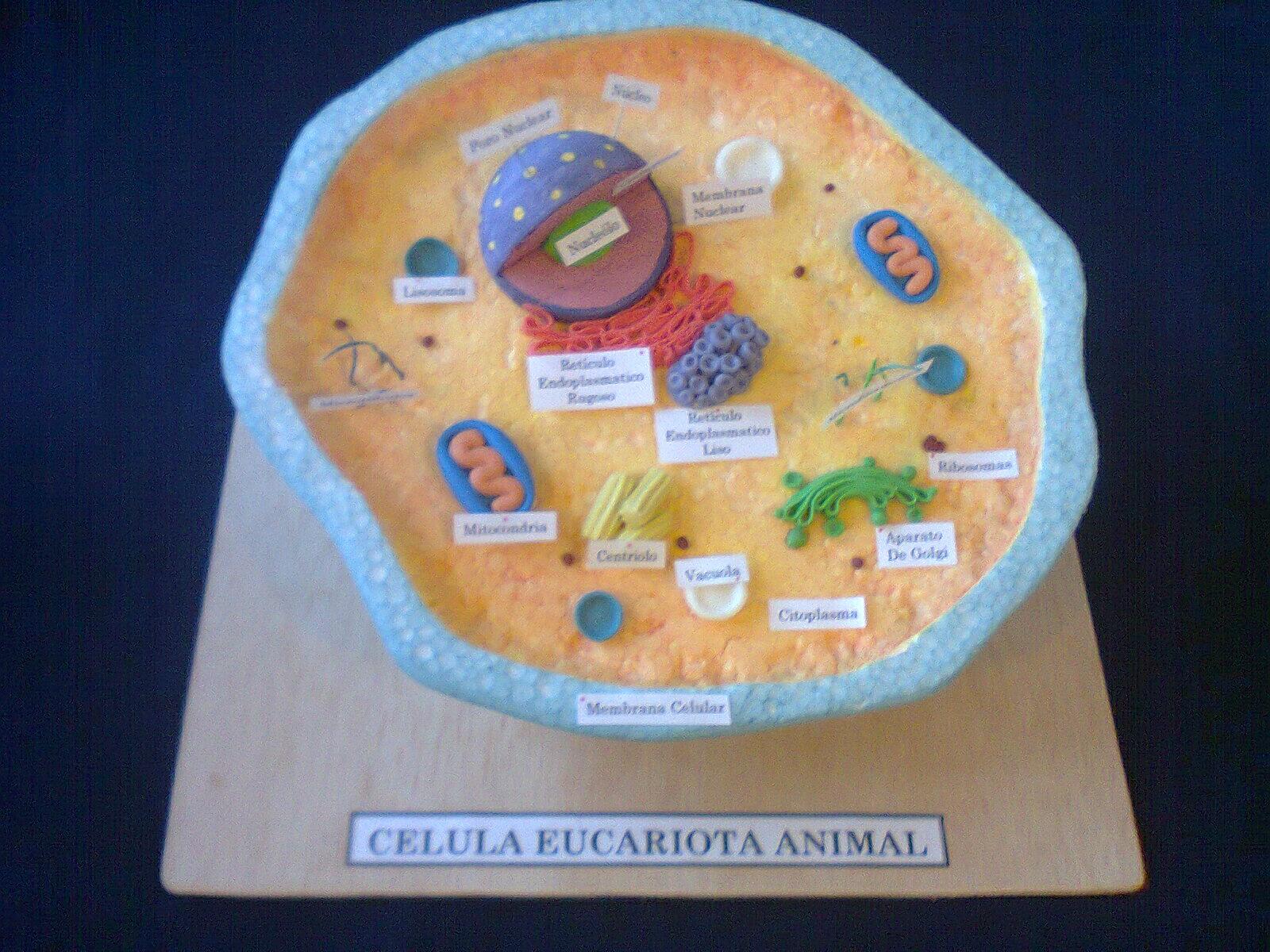 Maquetas y Arte al Twitter: Maquetas y Arte al Twitter: