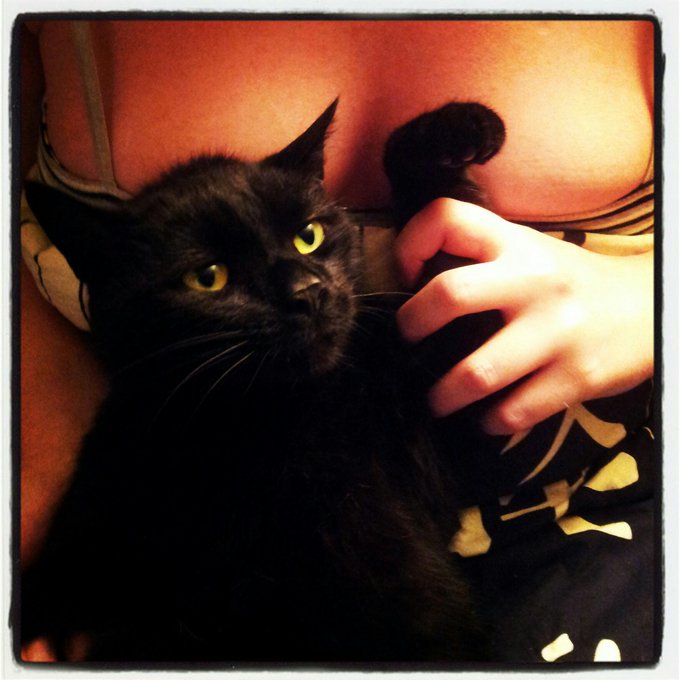 Avec mon ti Buffy http://t.co/slIkD9XRkt<a href="/tag/heart"class="tags"><span>#heart</span></a><a href="/tag/tattoo"class="tags"><span>#tattoo</span></a><a href="/tag/dark"class="tags"><span>#dark</span></a><a href="/tag/brokenheart"class="tags"><span>#brokenheart</span></a><a href="/tag/cobalttatt"class="tags"><span>#cobalttatt</span></a>