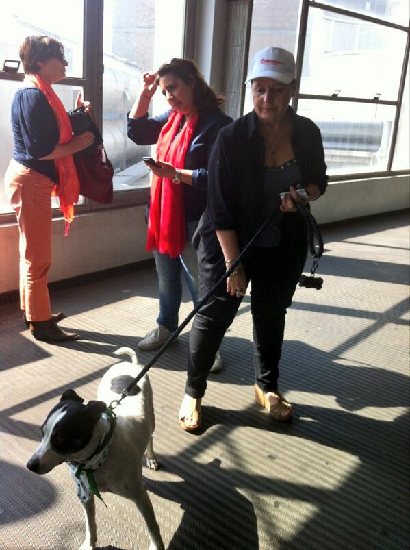 FPCisl's tweet photo. Cagnolino #cisl alla bella iniziativa unitaria di sabato a bologna! http://t.co/15dKTpqnQL