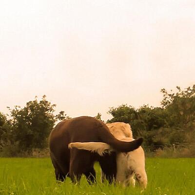 € 50 gewonnen met de foto van de maand actie door Lianne van der Horst.