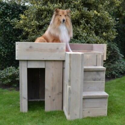 Heb jij onze nieuwste hondenhokken van steigerhout al gezien? Kijk snel op: 
jumbopet.nl/catalogsearch/…