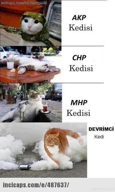 İyi güldüm bak sabah sabah