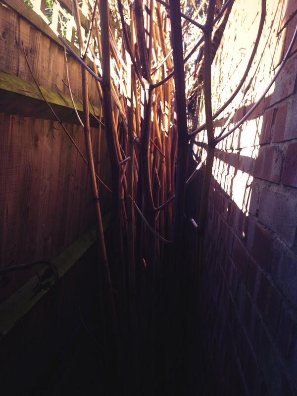 ABSolutions2's tweet image. Before?