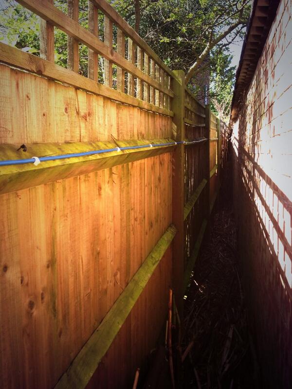 ABSolutions2's tweet image. After!! No jungle can beat us.