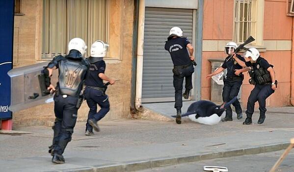 Alternatif penguen belgeseli, sizin için <a href="/cnnturkcom/">CNN Türk</a>