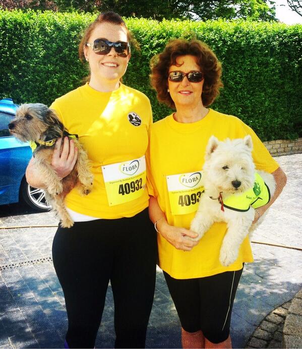 Go team #IrishTherapyDogs #florawomensminimarathon  our biggest supporters Toto & Lulu