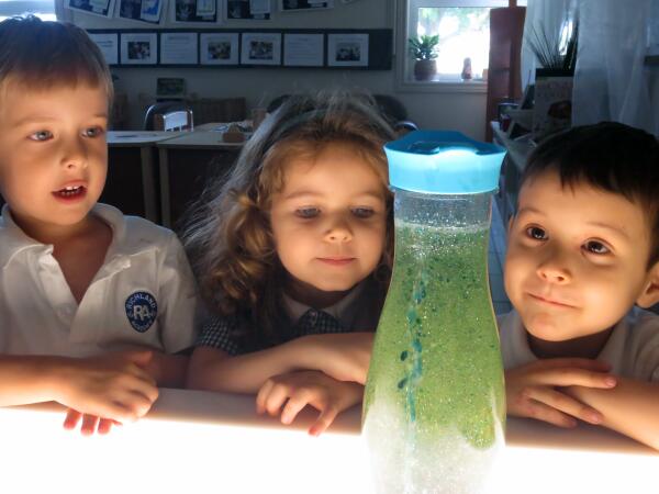 richlandacad's tweet image. PHOTO DAY 69: A ‘lava lamp’ arrives and provokes astonishment, marvel and perplexing questions. #PreKClass